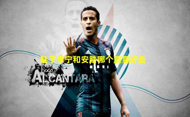 鞋子李宁和安踏哪个质量好些