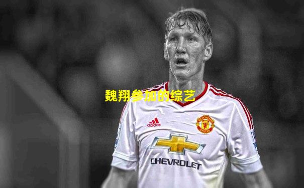 魏翔参加的综艺